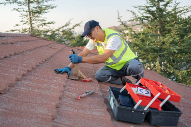 Best Shingle Roofing Installation  in Marquette, MI